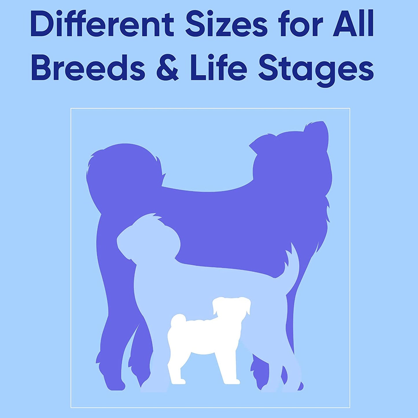 Solid 6 Ft Green Dog Leash M/L Custom Name and Phone Embroidery Strong Nylon Leash for Medium and Large Breeds