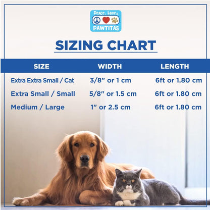 Solid 6 Ft Green Dog Leash M/L Custom Name and Phone Embroidery Strong Nylon Leash for Medium and Large Breeds